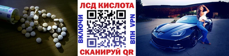 где можно купить наркотик  Суздаль  Лсд 25 экстази ecstasy 